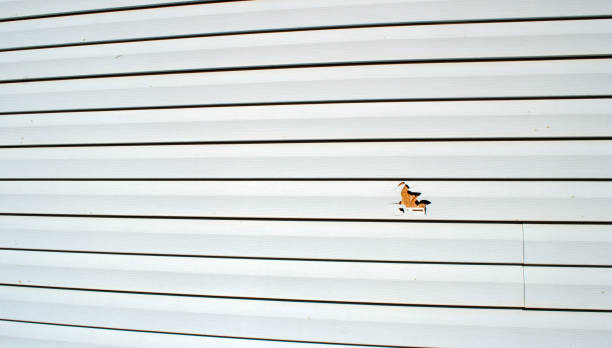 Affordable siding repair and maintenance services in Calistoga, CA